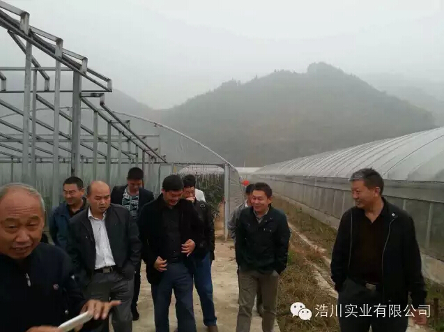 �ƴ������L�������(du��)���� ʮ���оG�~ɽ�l(xi��ng)���B(t��i)�r(n��ng)�I(y��)Ͷ�Y�������޹�˾�f��ƺ���߲˻���