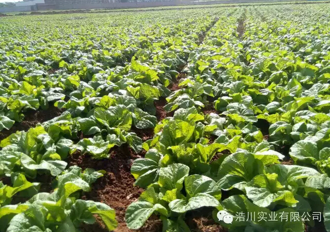 �،����Y��˼·�����Һ�����ģʽ