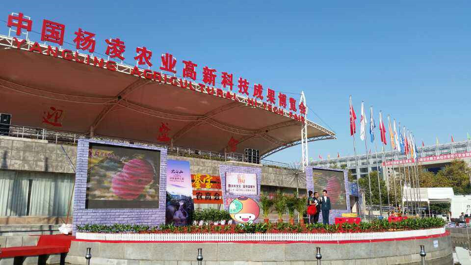 ϲӍ|���ع�˾�s�@�����r�ߕ����r�I�Ƽ�ʾ���ƏV���ء��Q̖