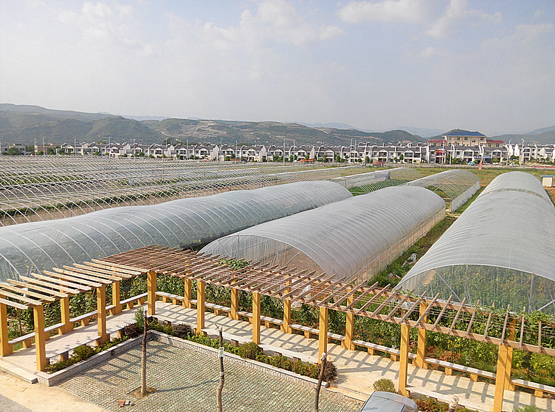 �yꖅ^�r���г��P֧�����L����Aһ��ǰ�������r�I��˾���L�{��